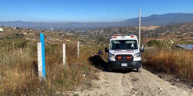 Personal médico confirmó que el cuerpo no presentaba signos de violencia visibles.