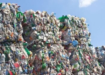 ¡México al frente de la basura! ¿Sabías que los microplásticos nos están afectando más de lo que crees?