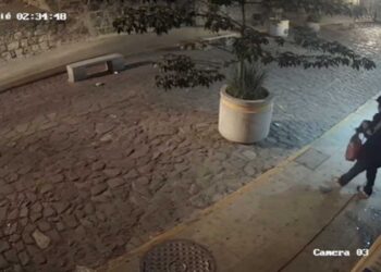 El presunto ladrón arrojó una piedra para romper el vidrio y poder entrar.