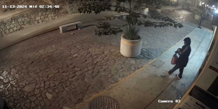 El presunto ladrón arrojó una piedra para romper el vidrio y poder entrar.