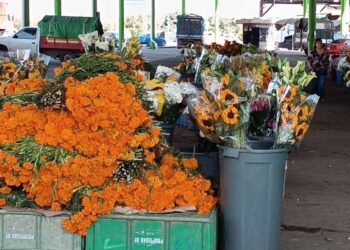 Foto: Lisbeth Mejía Reyes // Señalan la competencia desleal como una causa de la poca venta de flor.
