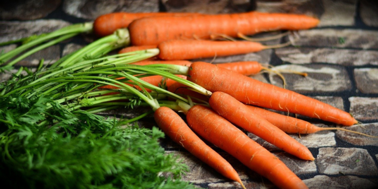 ¿Qué tan importante es la vitamina A en tu alimentación?