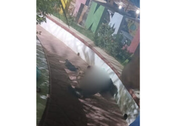 Ejecutan a hombre a tiros en Collantes, agencia de Pinotepa Nacional