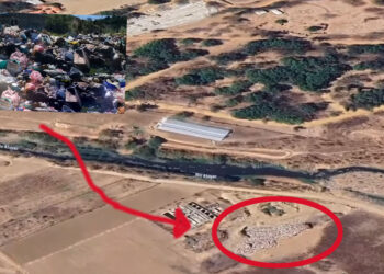 ¿Un negocio sucio? Basurero clandestino a cielo abierto en San Agustín de Las Juntas
