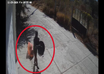VIDEO | ¡Inseguridad galopante en Huajuapan! Roban hasta botes de basura en vía pública