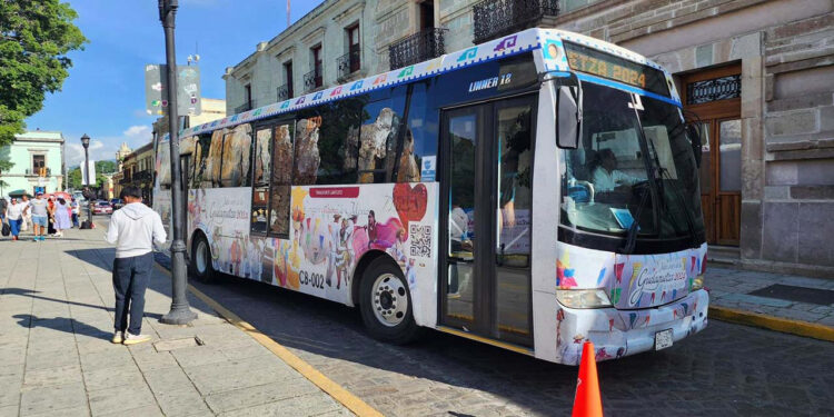 Rutas gratuitas del CityBus facilitarán el acceso al nuevo Parque Primavera Oaxaqueña