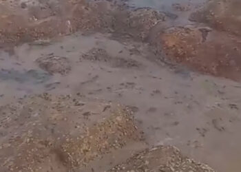 Sexto derrame de Pemex en Salina Cruz en el año