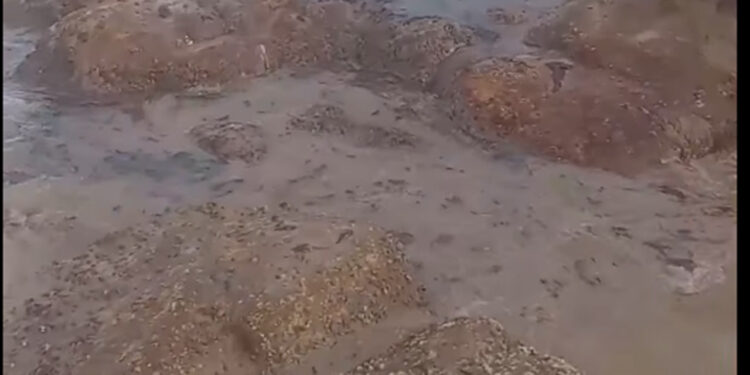Sexto derrame de Pemex en Salina Cruz en el año