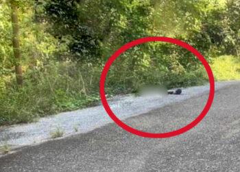 Hallan cadáver de persona en la agencia El Polvorín, Santa María Petapa  