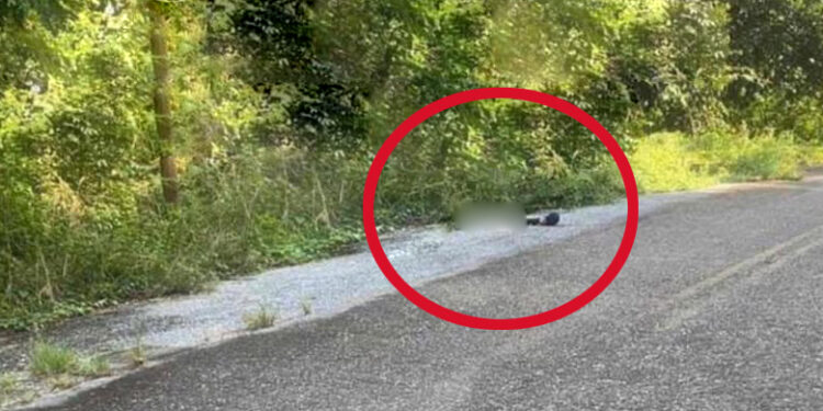 Hallan cadáver de persona en la agencia El Polvorín, Santa María Petapa  