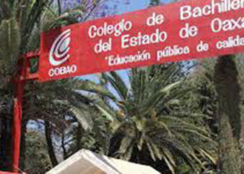 Opacidad en Cobao, Cecyte y CSEIIO; quebranto por 29 mdp