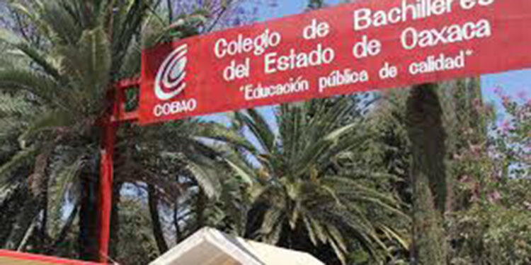 Opacidad en Cobao, Cecyte y CSEIIO; quebranto por 29 mdp