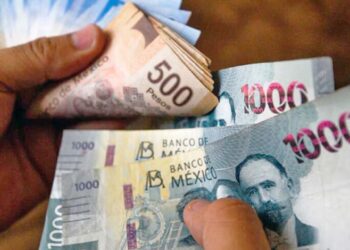 Foto: internet // Para el experto la inversión interna va a tener que fortalecerse y la presidenta recomponer la estrategia para que no causen estragos.
