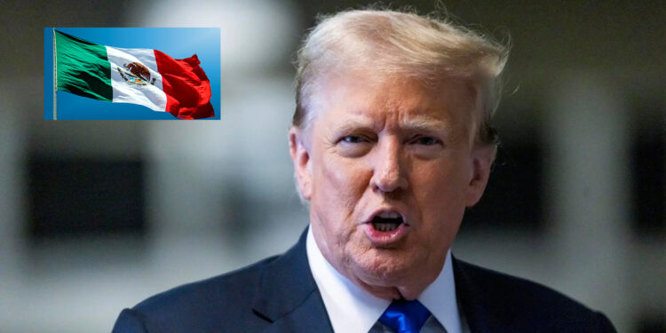 El impacto de los aranceles de Trump a mexicana: ¿Cuál es el costo de la represalia comercial?