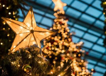 ¿Cuándo se pone la estrella del árbol de Navidad?