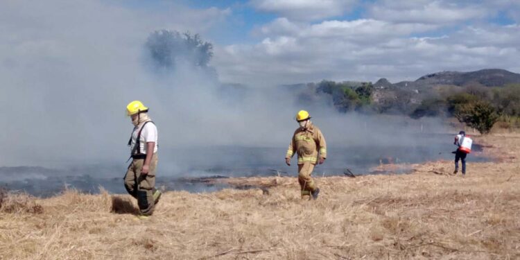 Personal de bomberos controló la conflagración localizada en terrenos baldíos.