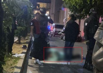 Presentaba un hematoma en cráneo, además de una herida en la ceja izquierda y otra en el labio.