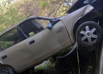 Los dos ocupantes del automóvil resultaron lesionados.