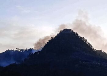 Foto: Facebook Bienes Comunales SMY // Incendio sofocado por brigadistas de la Coesfo.