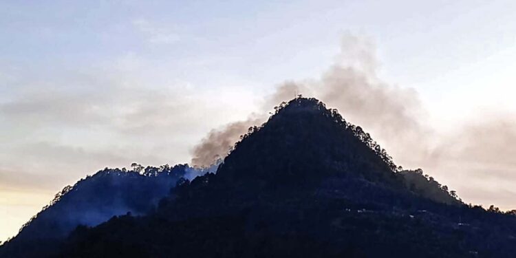 Foto: Facebook Bienes Comunales SMY // Incendio sofocado por brigadistas de la Coesfo.
