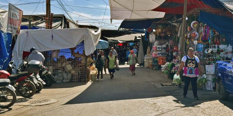 Foto: Álvaro Cuitláhuac López // A partir de este jueves se instala el tianguis navideño en la Central de Abasto.