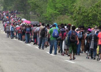 Foto: internet // Al menos 10 caravanas de migrantes han llegado a territorio oaxaqueño durante 2024.