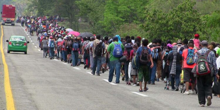 Foto: internet // Al menos 10 caravanas de migrantes han llegado a territorio oaxaqueño durante 2024.