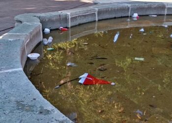 Agua verdosa y basura en las fuentes del emblemático Paseo Juárez El Llano.