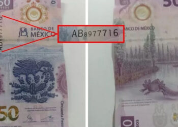 Fenómeno numismático: Ofertan billete de ajolote hasta 550,000 pesos