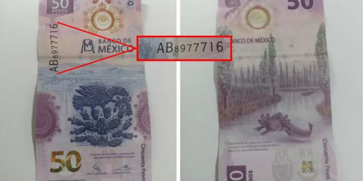 Fenómeno numismático: Ofertan billete de ajolote hasta 550,000 pesos