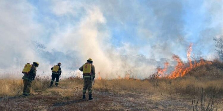 Bomberos, autoridades y comuneros colaboraron para apagar el fuego.