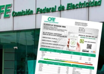 ¿Habrá descuentos del 50% en la luz para adultos mayores y otros grupos vulnerables?