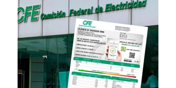 ¿Habrá descuentos del 50% en la luz para adultos mayores y otros grupos vulnerables?