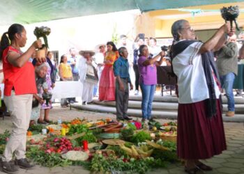 Foto: cortesía // Conceden amparo para traducir al zapoteco de Valles Centrales la Ley de Acceso a una Vida Libre de Violencia a todas las lenguas indígenas del Estado de Oaxaca.