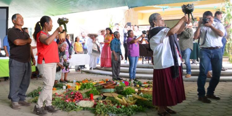 Foto: cortesía // Conceden amparo para traducir al zapoteco de Valles Centrales la Ley de Acceso a una Vida Libre de Violencia a todas las lenguas indígenas del Estado de Oaxaca.