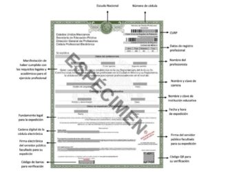 ¿Cómo tramitar tu cédula profesional en línea?