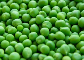 Chícharos: Un superalimento que no debes dejar pasar por alto