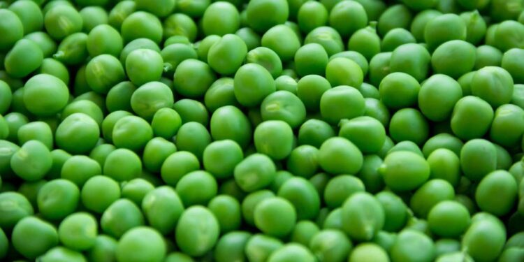 Chícharos: Un superalimento que no debes dejar pasar por alto