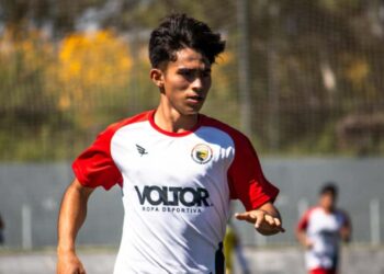 Dragones se reporta a entrenar en enero próximo.