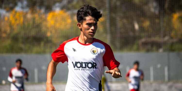 Dragones se reporta a entrenar en enero próximo.