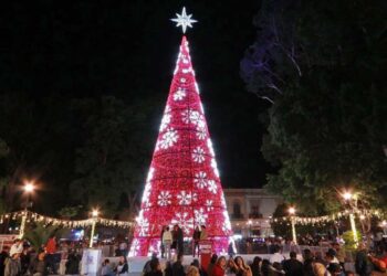 Foto: Adrián Gaytán // El Árbol de Navidad ya brilla en la Alameda de León.