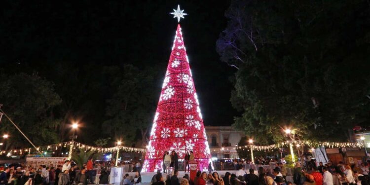 Foto: Adrián Gaytán // El Árbol de Navidad ya brilla en la Alameda de León.