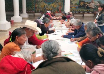 El sistema DIF ha identificado decenas de abuelitos enfermos y abandonados en varias comunidades.