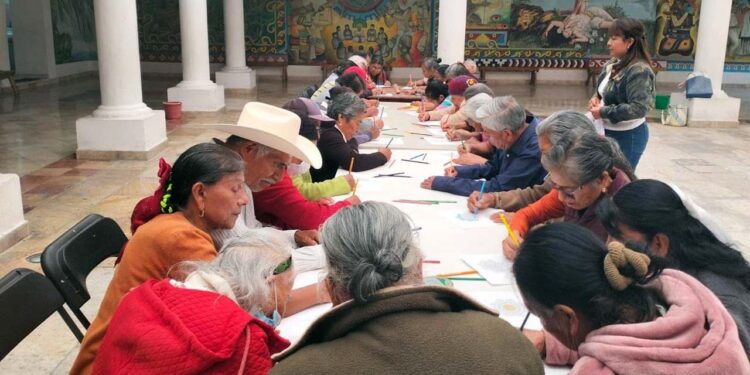 El sistema DIF ha identificado decenas de abuelitos enfermos y abandonados en varias comunidades.