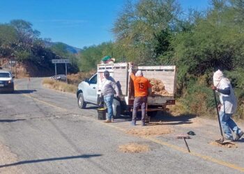 Empresa particular lleva a cabo el trabajo de bacheo en la carretera federal 135.