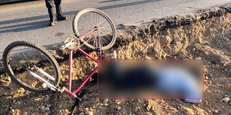 El cuerpo presentaba una lesión visible en la frente, aparentemente provocada por el impacto.