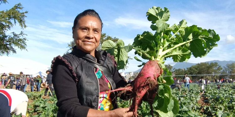 Fotos: Adrián Gaytán // Enedina Vásquez con una de las piezas obtenidas que representa un desafío para su imaginación.