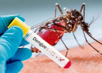 Hay un acumulado de 4 mil 048 casos de dengue en lo que va del año.