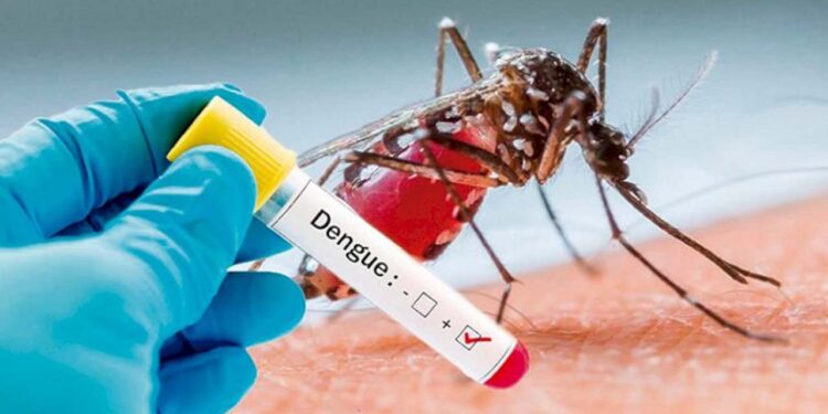 Hay un acumulado de 4 mil 048 casos de dengue en lo que va del año.