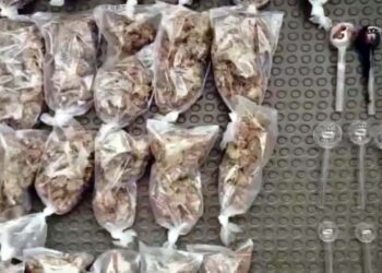 Las autoridades decomisaron un contenedor con 512 dosis de cristal y 25 dosis de marihuana.